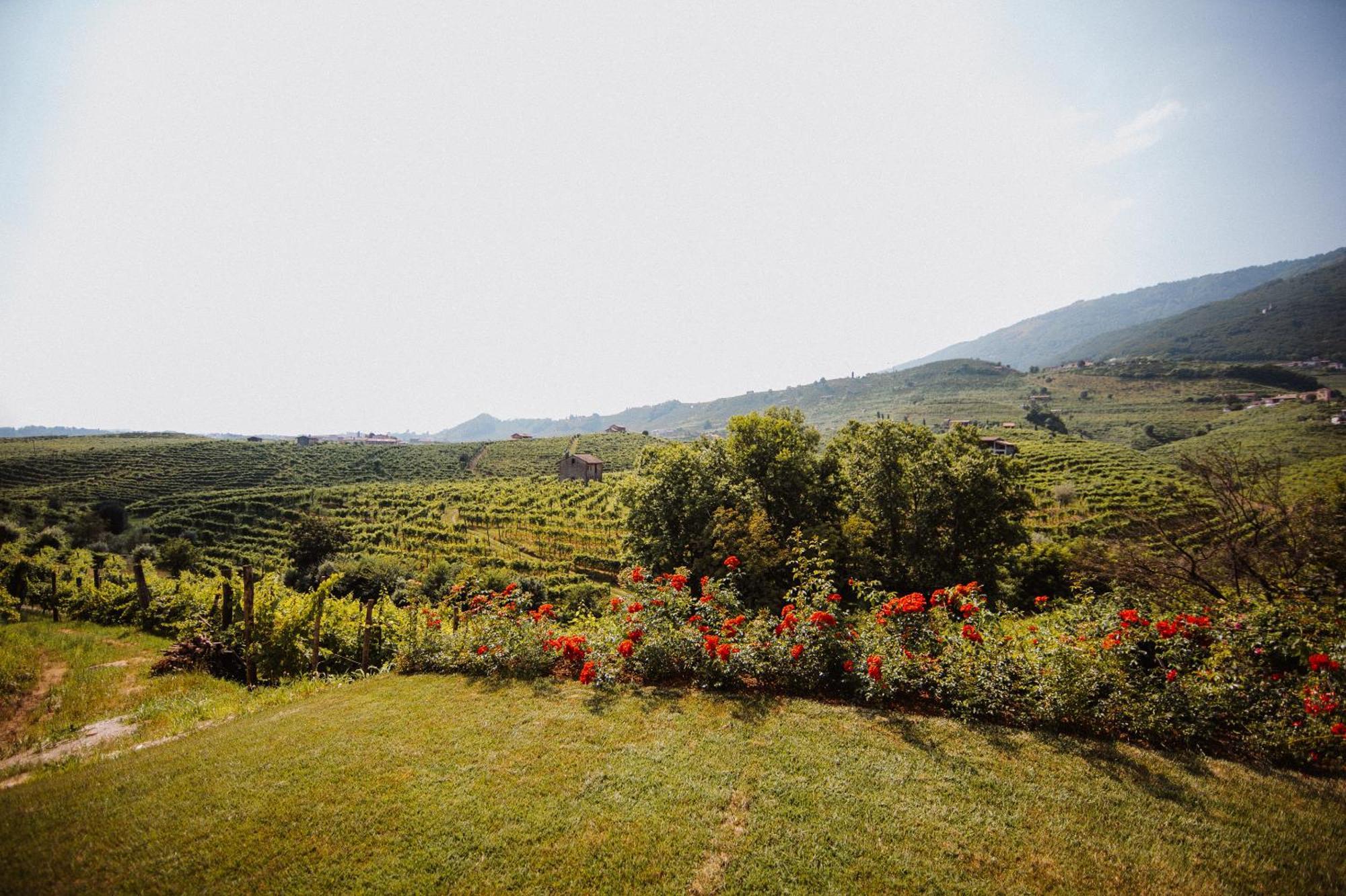Casa Callonga Valdobbiadene Ngoại thất bức ảnh